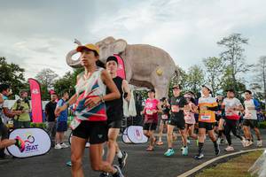 BIB: 
                            <button type="button" onclick="openModal(26528320)" class="btn btn-primary btn-sm float-right btn-popup" data-toggle="modal" data-target=".modal-high-quality">
                        <i class="fas fa-shopping-cart"></i> Add to Cart
                    </button>
                                            <button type="button" onclick="isThisMe(26528320, true)" class="btn btn-success btn-sm float-right btn-popup btn-isme hidden" data-toggle="tooltip" data-placement="bottom" title="นี่คือรูปของคุณใช่ไหม คลิกที่นี่เพื่อเอาเข้าอัลบั้ม">
                        <i class="fas fa-plus"></i> Add to album
                    </button>
                    <button type="button" onclick="isThisMe(26528320, false)" class="btn btn-warning btn-sm float-right btn-popup btn-isnotme hidden">
                        <i class="fas fa-ban"></i> Remove from album
                    </button>